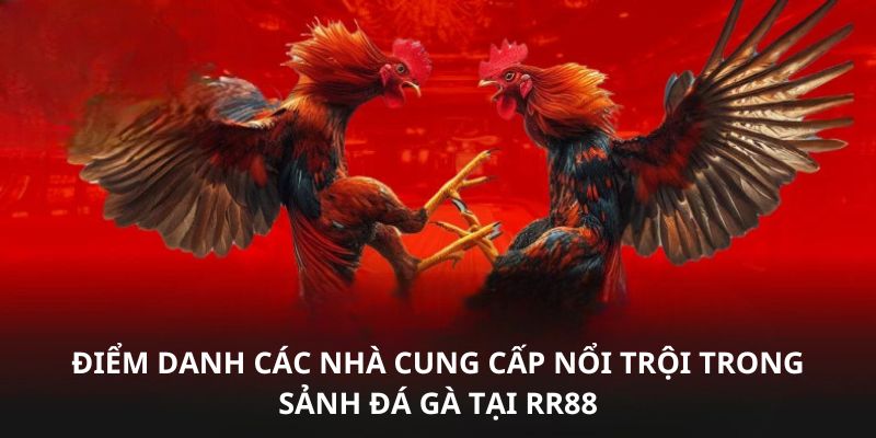 đá gà RR88